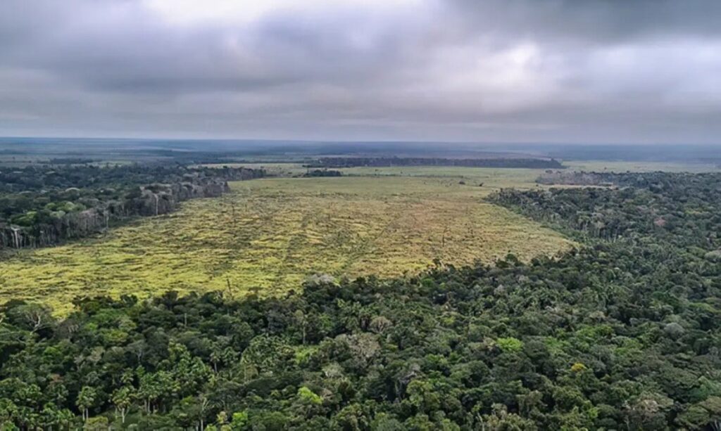 TRF1 mantém multa de R$ 4,54 milhões aplicada a ex-vice-governador por desmatamento em Roraima