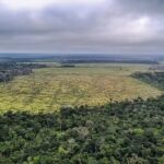TRF1 mantém multa de R$ 4,54 milhões aplicada a ex-vice-governador por desmatamento em Roraima