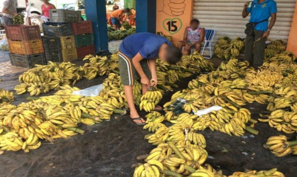 Boa Vista concentra 43,5% do trabalho infantil de Roraima, aponta estudo