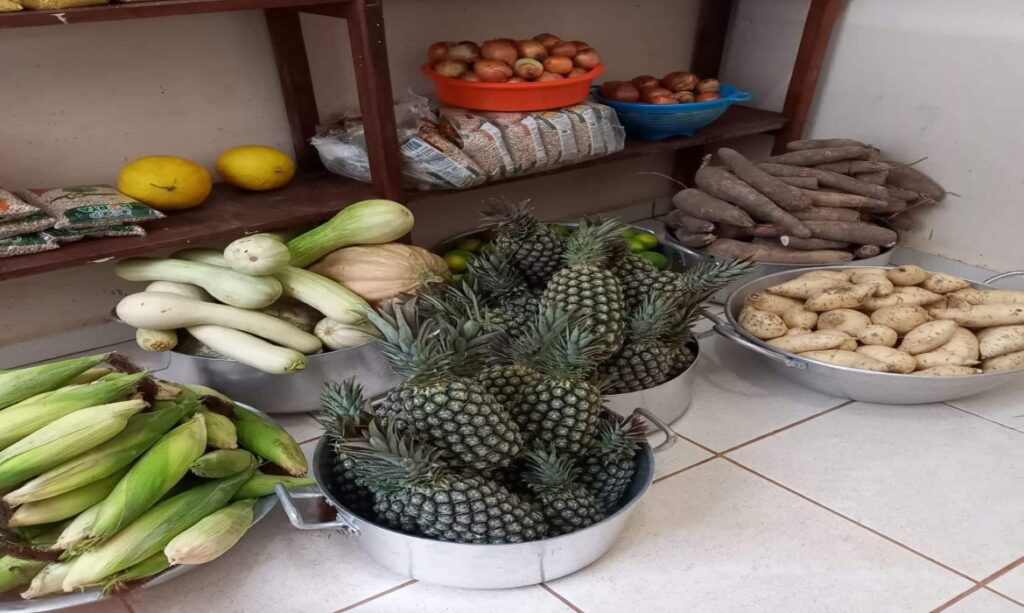 Escolas de Roraima vão poder comprar alimentos da agricultura familiar por plataforma do governo federal