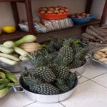 Escolas de Roraima vão poder comprar alimentos da agricultura familiar por plataforma do governo federal