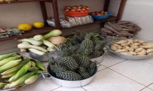 Escolas de Roraima vão poder comprar alimentos da agricultura familiar por plataforma do governo federal