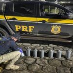 PRF apreende 253 kg de mercúrio no Cantá e total no ano chega a 1,08 tonelada
