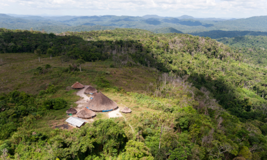 Senado aprova nova diligência em Roraima para apurar denúncias de desnutrição em comunidades indígenas