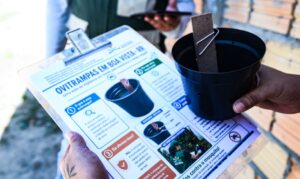 Boa Vista mapeia 14 bairros para instalar armadilhas que monitoram Aedes aegypti